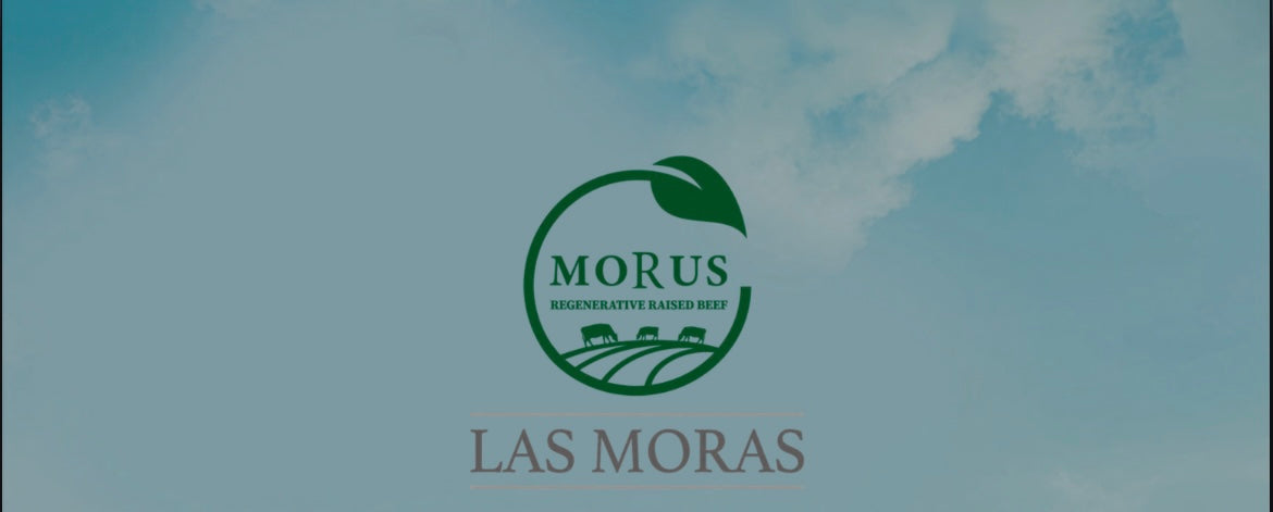 MORUS: Regenerative Raised Beef