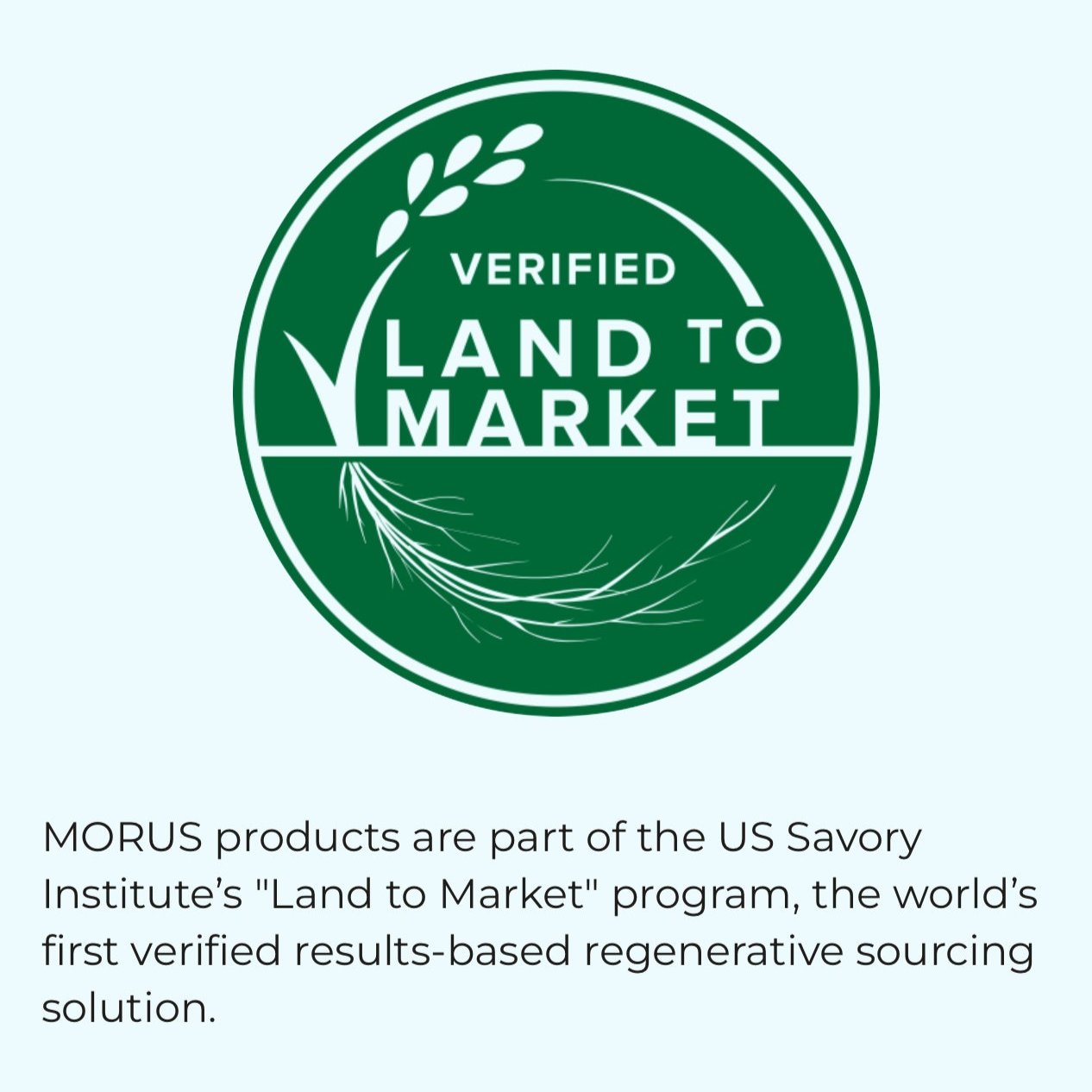 Grass Fed Beef RIBEYE - MORUS- Regenerative raised & Certified