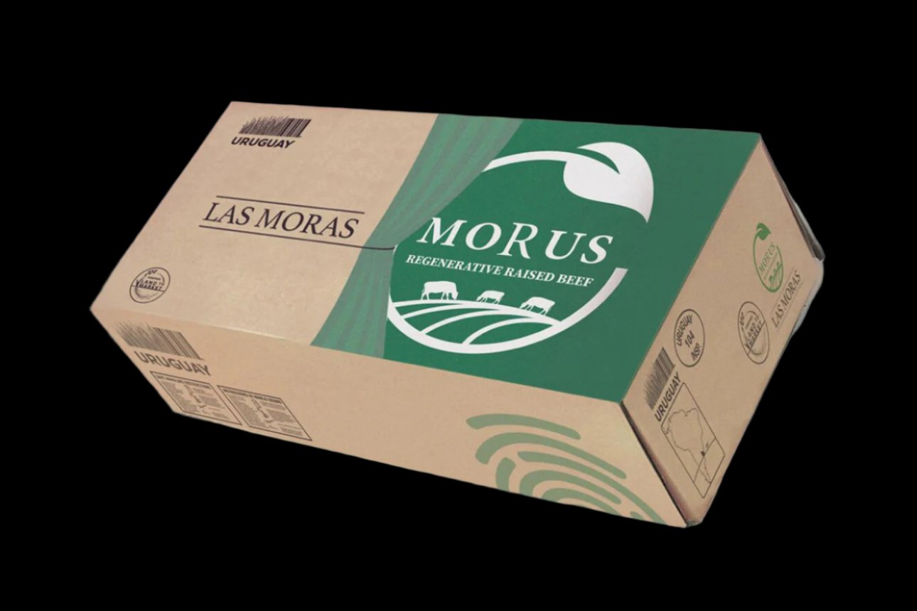 Grass Fed Beef RIBEYE - MORUS- Regenerative raised & Certified