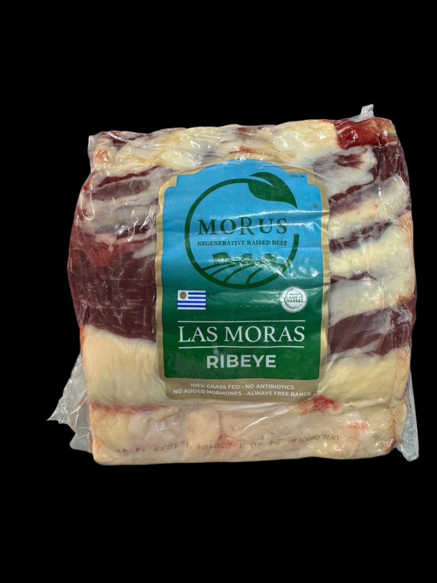 Grass Fed Beef RIB EYE - MORUS- Regenerative raised & Certified