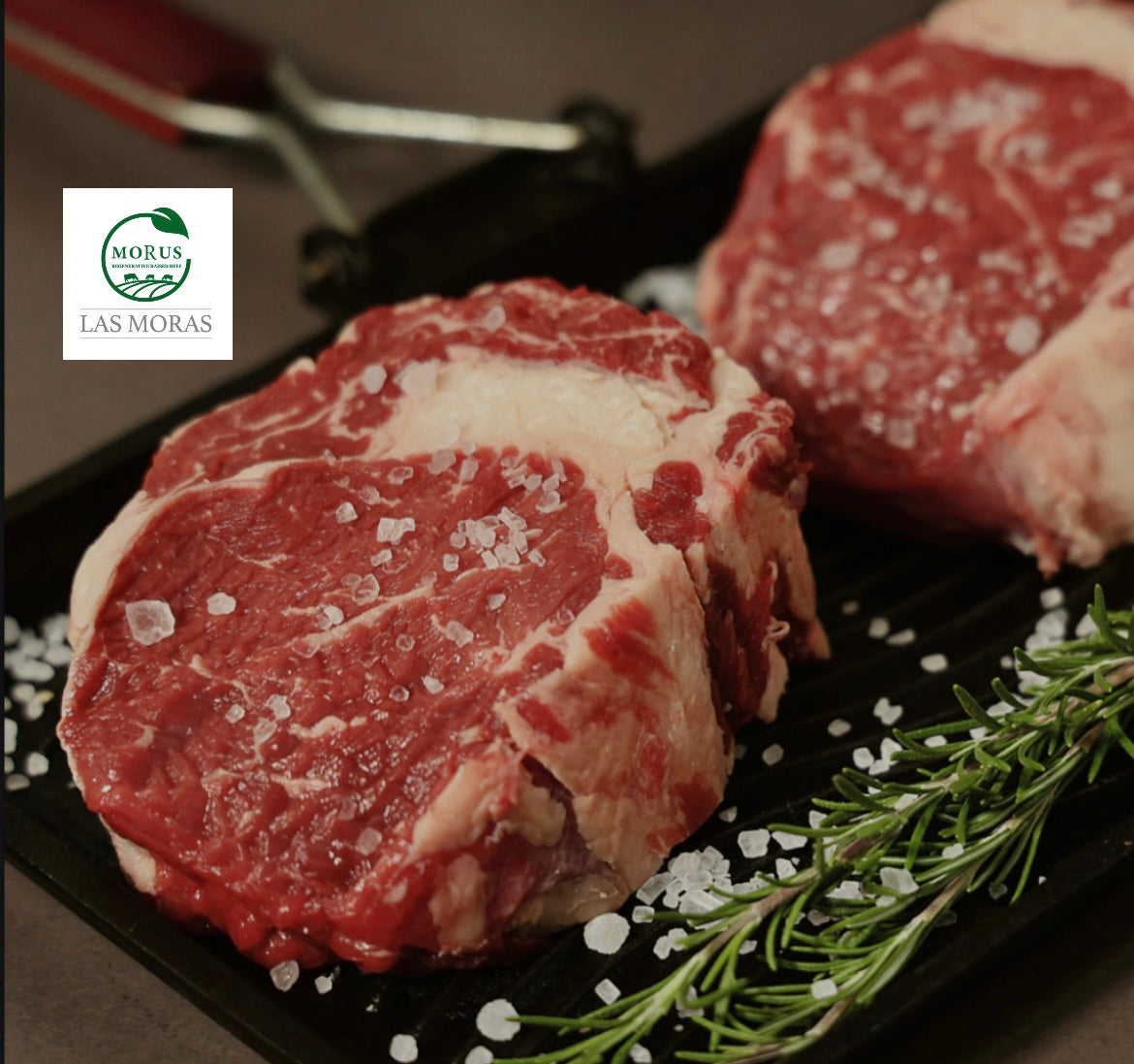 Grass Fed Beef RIB EYE - MORUS- Regenerative raised & Certified